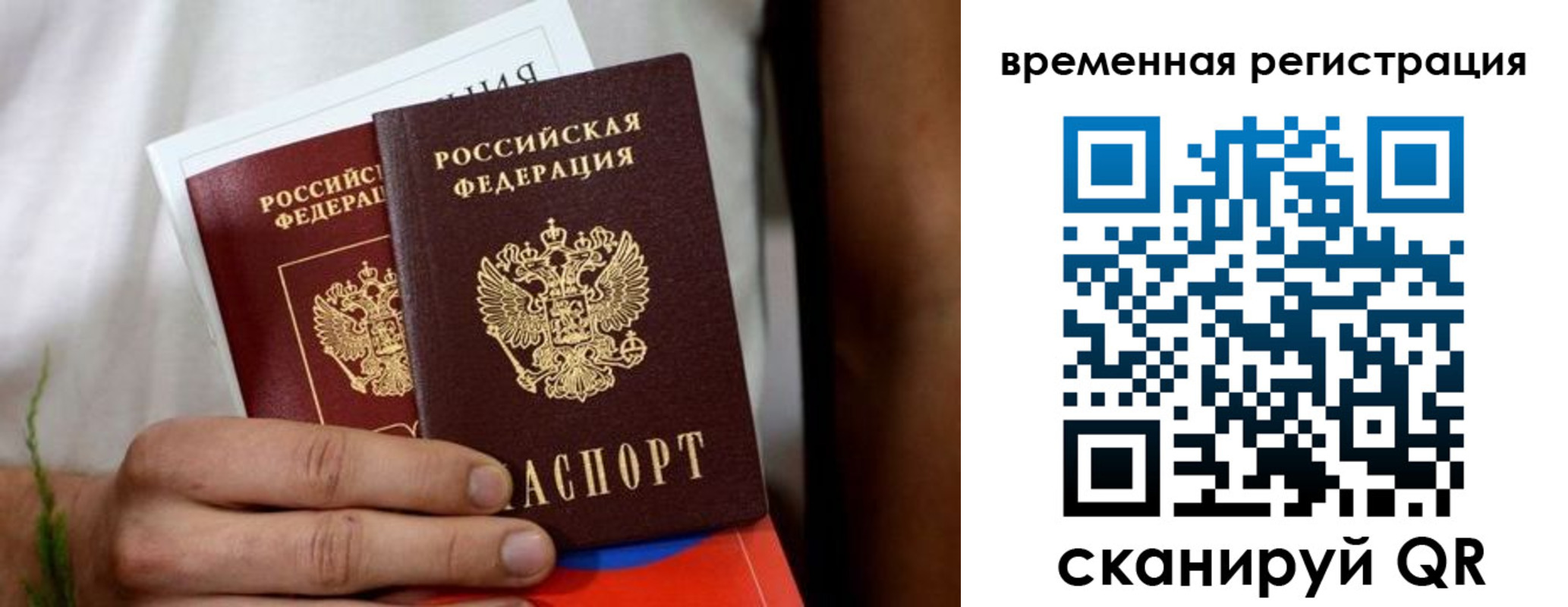 прописка паспорт в Димитровграде